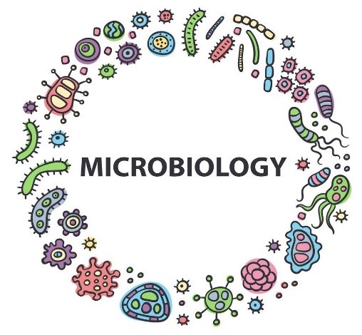 Department Of Microbiology Virology And Immunology Fergana State